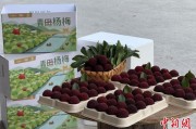 经典解梦高速赋能产业升级：一条“杨梅路”的致富密码